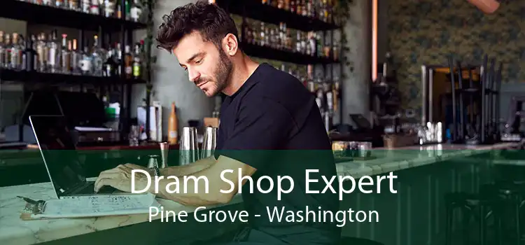Dram Shop Expert Pine Grove - Washington